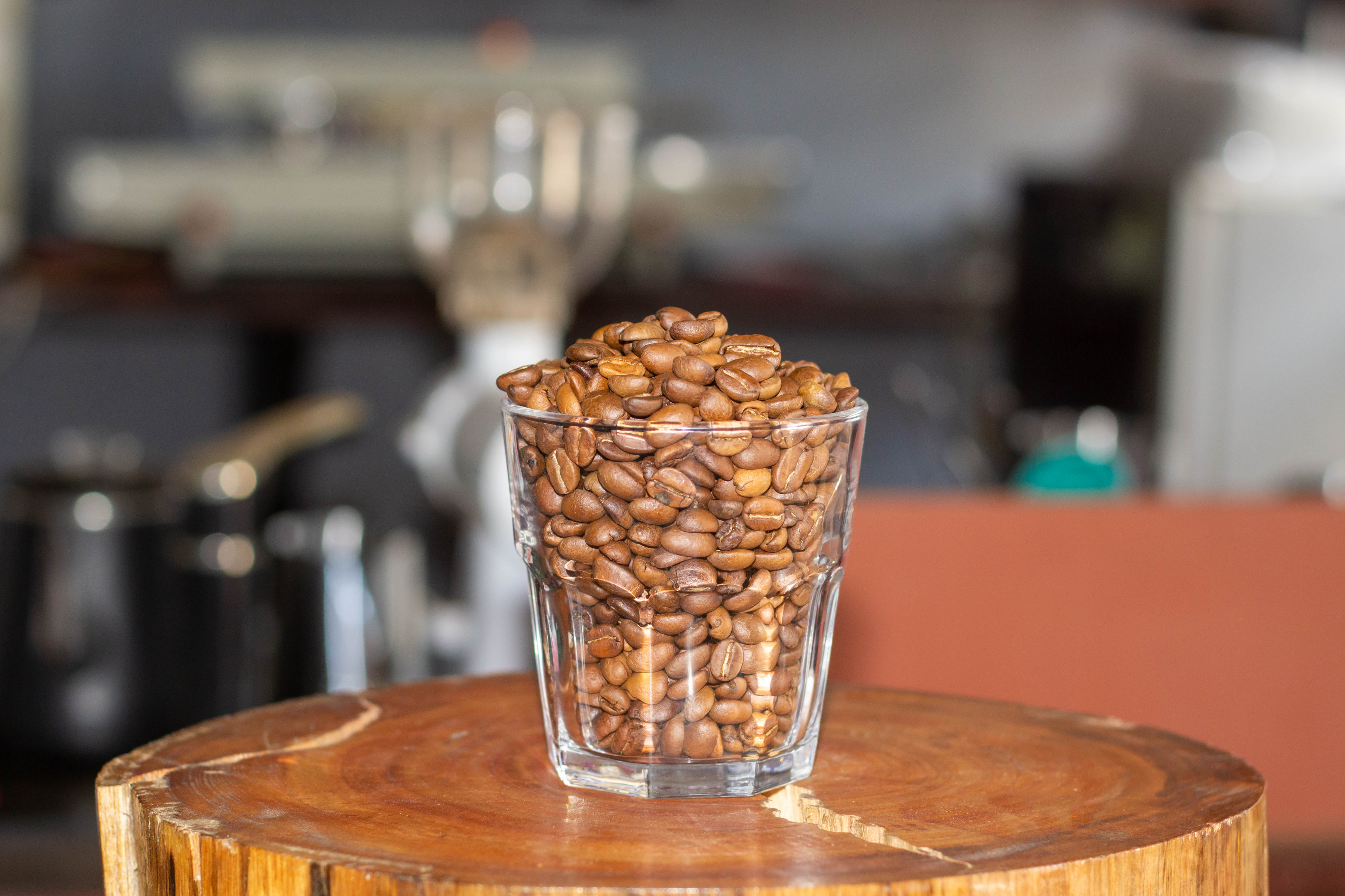 Roasted Bean Arabica Natural Wangunjava West Java