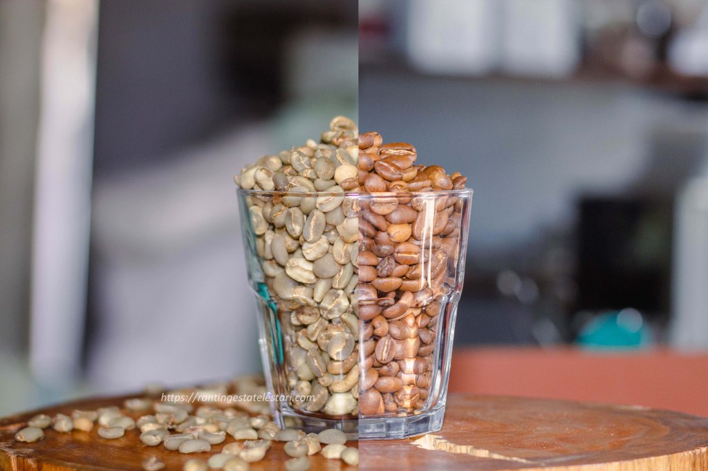 Understanding Roasting Profile