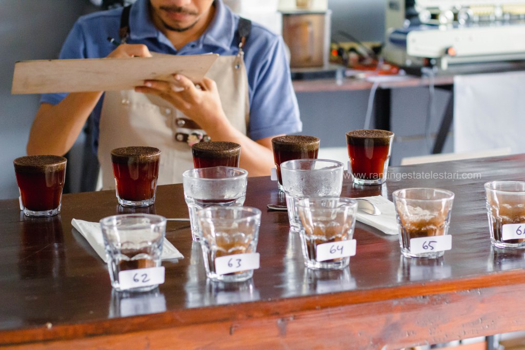 Cupping Coffee: A Key Step in Ensuring Coffee Quality and&nbsp;Consistency