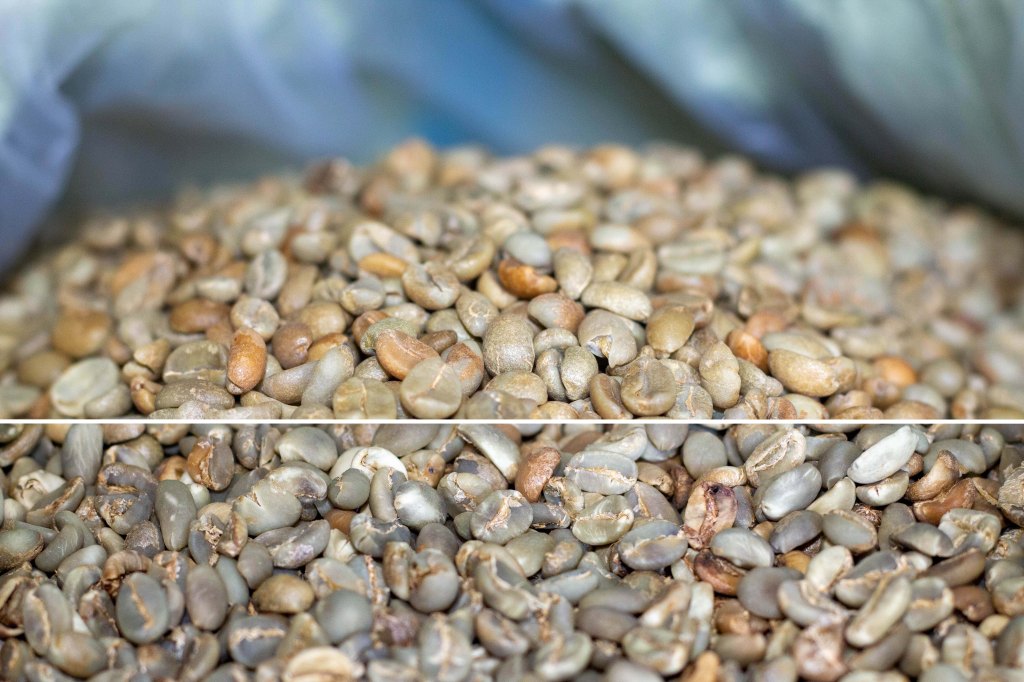 Natural Classic vs Natural Extend vs Washed&nbsp;Processing